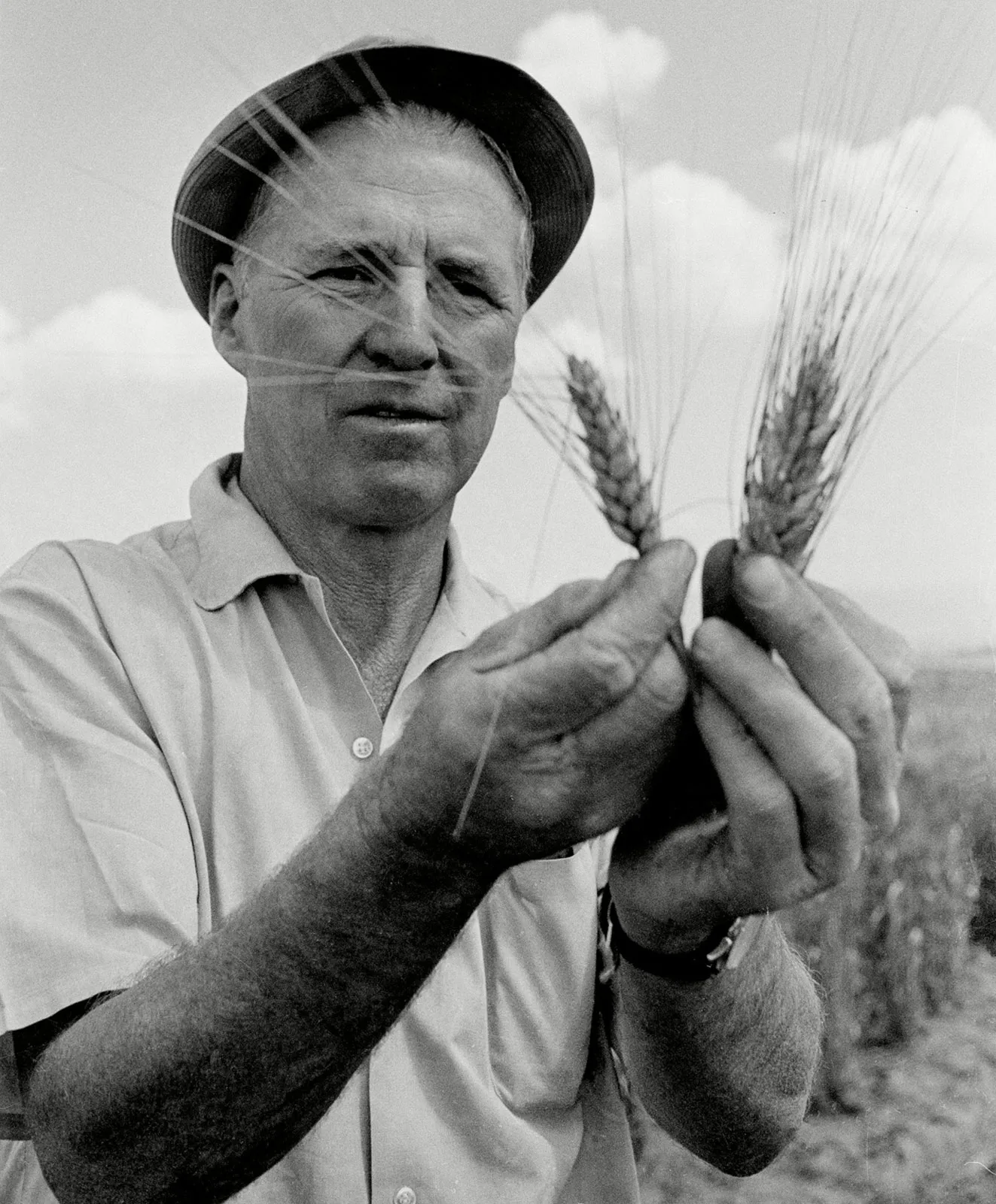 Dr. Norman Borlaug standing proud in a wheat field